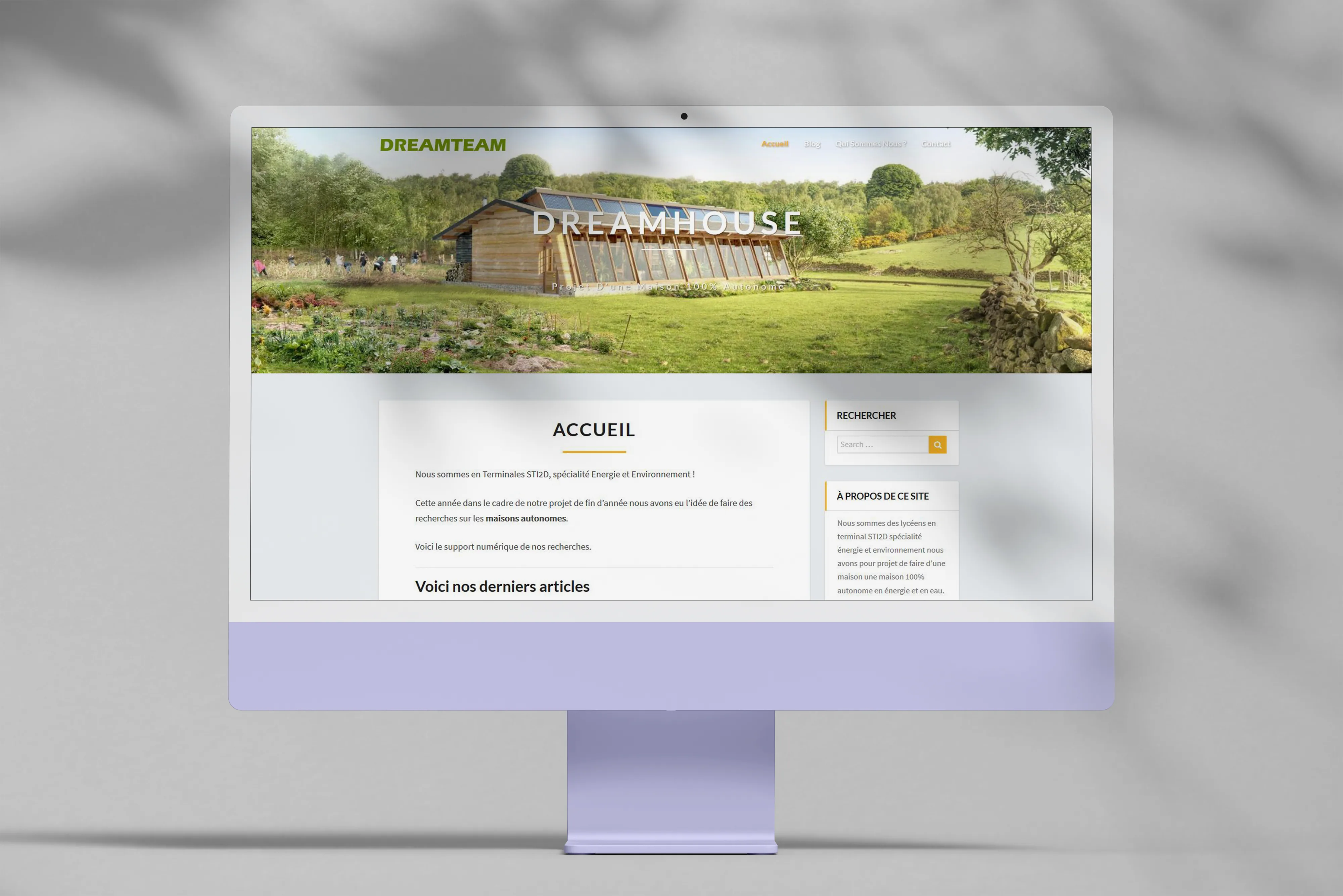 DreamTeam, un journal de bord de projet terminal